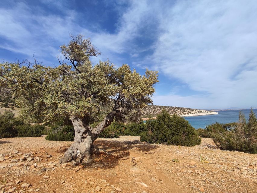 Naxos: Explore the cave of the unspoiled south-east coast! - The wooden boat back to Panermos