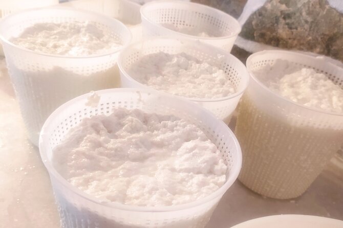 Naxos Farm Experience and cheese making - Tasting Naxos cheese with a farm lunch