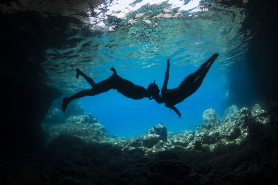 Naxos: Full-Day Small Cyclades Sailing Cruise - When dolphins and sails show up