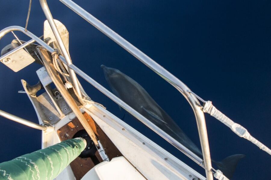 Naxos: Full-Day Small Cyclades Sailing Cruise - Practicalities that actually affect your comfort
