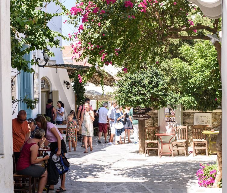Naxos: Half-Day Guided History and Culture Sightseeing Tour - Price and value: why $35 is a solid deal for a culture day
