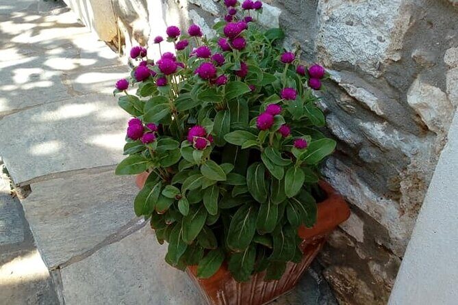 Naxos: Highlights of Naxos Day Tour - Stop 3: Chalkio’s neoclassical village vibe, galleries, and citron tasting
