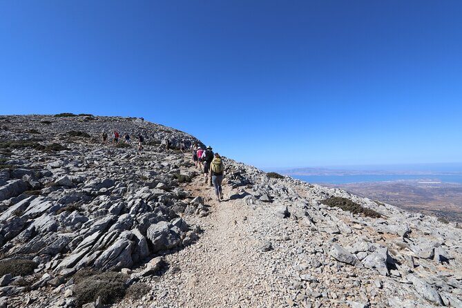 Naxos: Hike to the Top of the Cyclades - Mount Zas - Learning on the move: mythology, vegetation, and local farming stories
