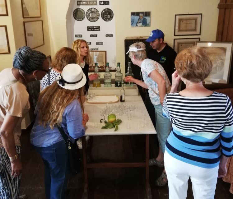 Naxos Island: Full–Day Historical Bus Tour - Damalas and Chalkio: village stops that help you read the island
