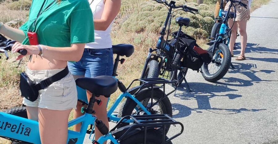 Naxos: Private E-Bike Tour with Farm Lunch - The stone mill olive press: watching oil production close-up
