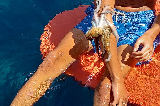 Naxos private fishing trips, lunch on board & island hopping - Final verdict: a strong choice for the right group