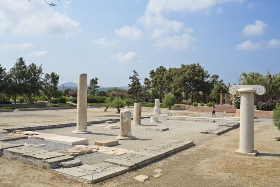 Naxos: Private Minibus Rental with an Experienced Driver - Key highlights you’ll feel right away