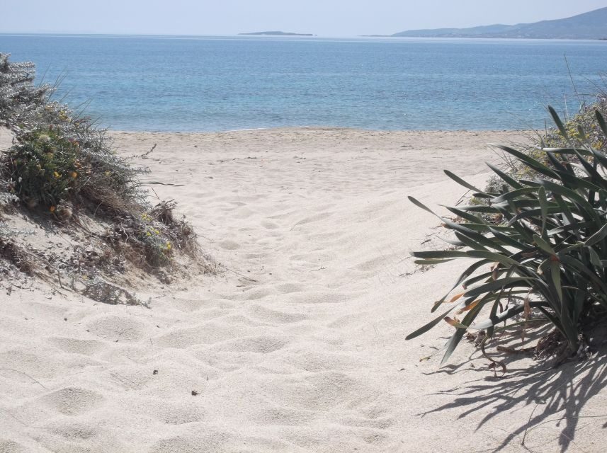 Naxos: Private Minibus Rental with an Experienced Driver - The Mercedes minibus: comfort, air-conditioning, and safe-feeling driving