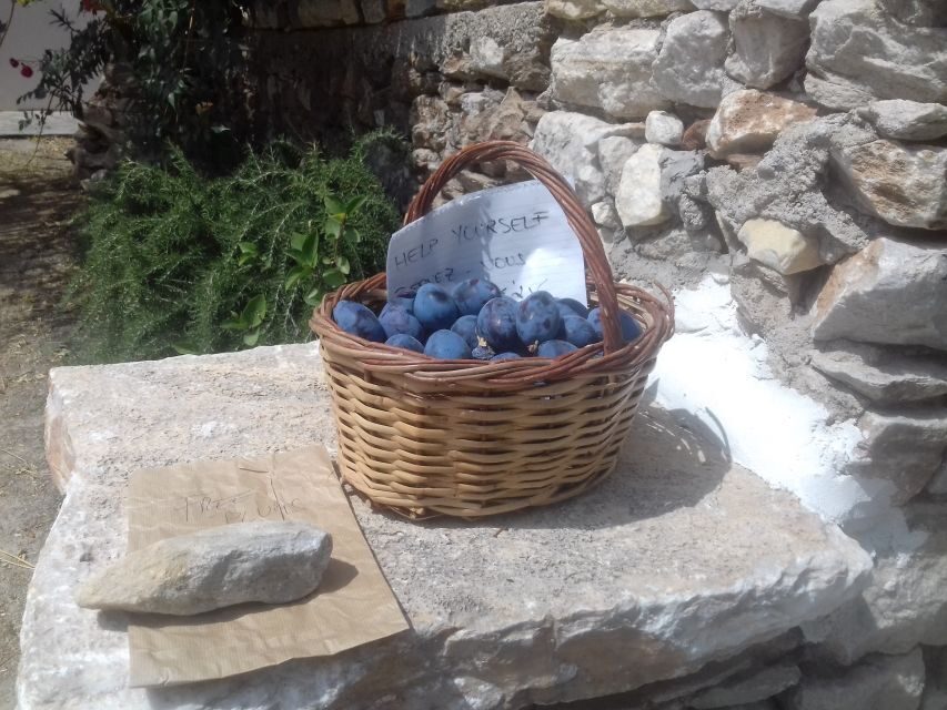 Naxos: Private Minibus Rental with an Experienced Driver - Pickup and where the driver can take you (and where extra charges may apply)