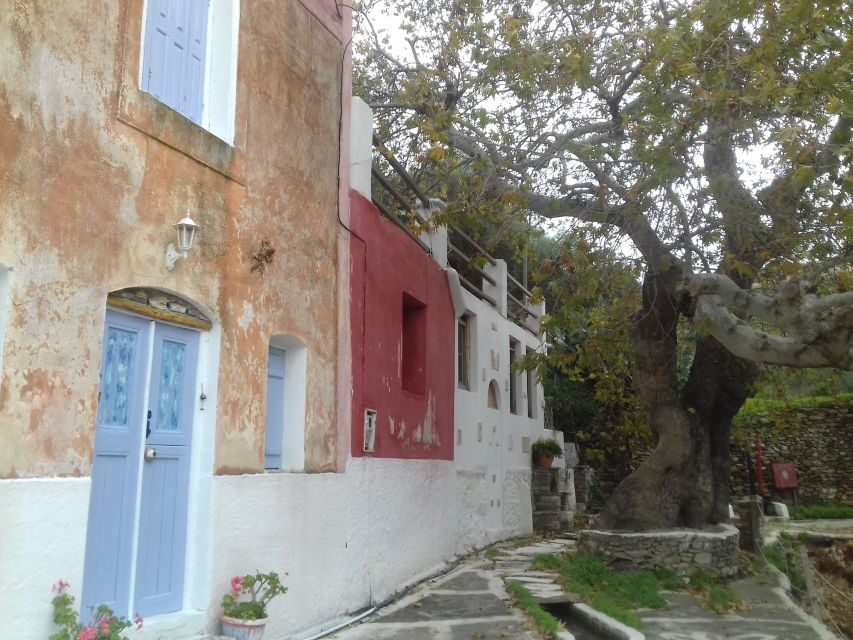 Naxos: Private Minibus Rental with an Experienced Driver - Your no-guide reality: how to get the most out of an English-speaking driver