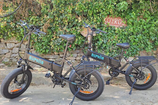 Naxos Private / Semi Private E-Bike Guided Tour Aegean Lush - Price and value: is $221.68 fair for this 4-hour format?