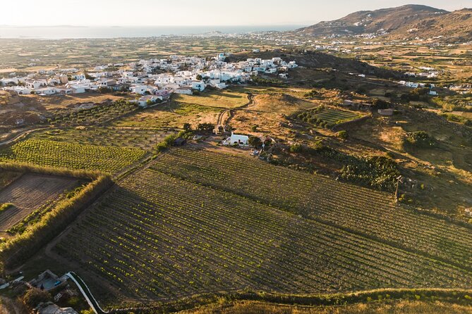 Naxos Private / Semi Private E-Bike Guided Tour Inland Methexis - Practical Details Before You Reserve
