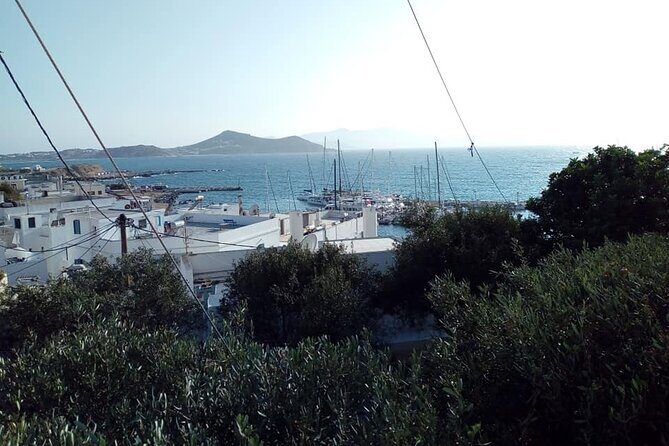 Naxos Sunset City Walk - The PDO citron liqueur stop: small, local, and easy to like