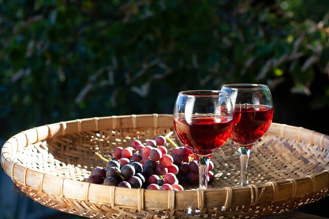 Nemea Wine Tasting & Nafplio Full-Day Private Tour from Athens - Why pair Nemea wine with Nafplio?