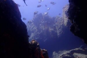 Nima Diving Center, Naxos, Greece - Your First-Time Safety Plan and Gear Fit (Why It Matters)