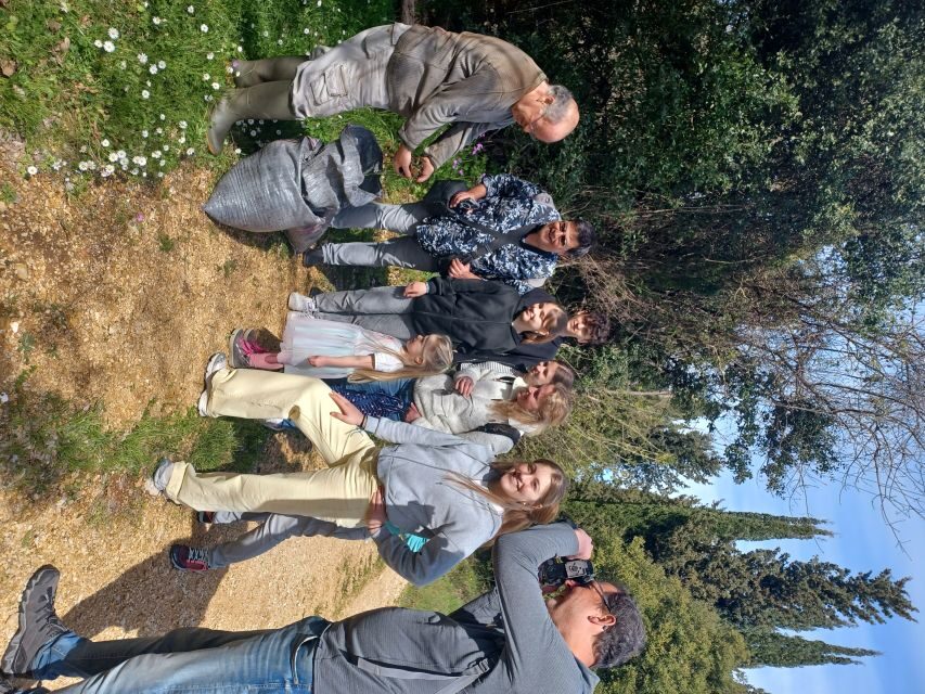 North Corfu: Olive Tour with Olive Oil Tasting and Mezze - The 2-Hour Olive Grove Walk: Trees, Ecosystem, and Generations