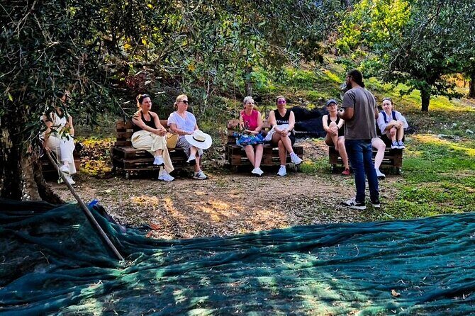 North Corfu Olive Tour With Olive oil Tasting & Meze - Stop 1 in Loutses: A Traditional Start and Grove Ecosystem Focus