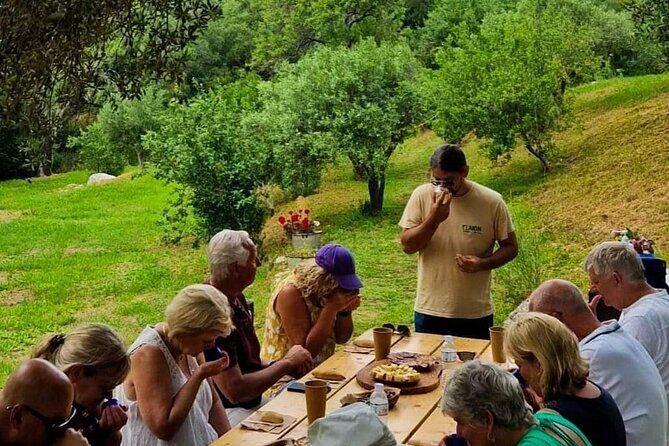 North Corfu Olive Tour With Olive oil Tasting & Meze - How to Taste Olive Oil Without Overthinking It