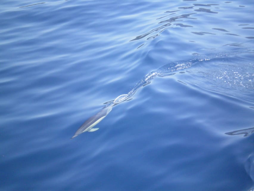 NYDRI: Wooden Boat Cruise to Meganisi & Scorpio - Lefkada - Skorpios, Onassis, and the Island View