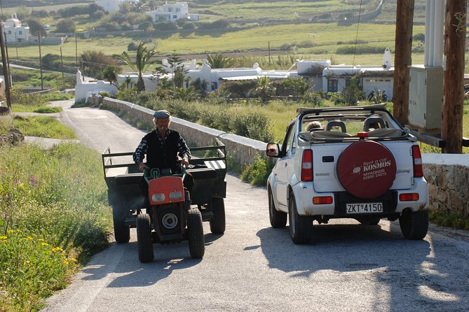 OFF ROAD Safari - Ano Mera: monastery, church, and a shaded village square