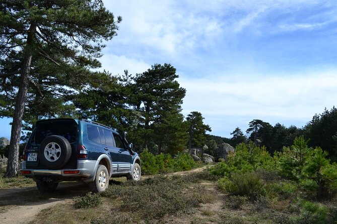 Off Road Safari Experience in Sithonia Halkidiki - What the guide adds beyond a scenic drive
