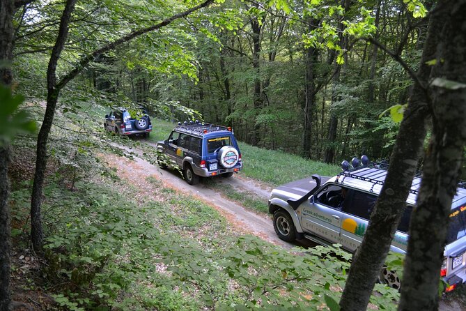 Off Road Safari Experience in Sithonia Halkidiki - What to bring and how to plan the day