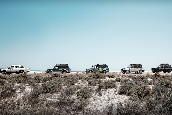 Off Road Safari Experience in Sithonia Halkidiki - A private jeep makes the $499.20 price easier to assess