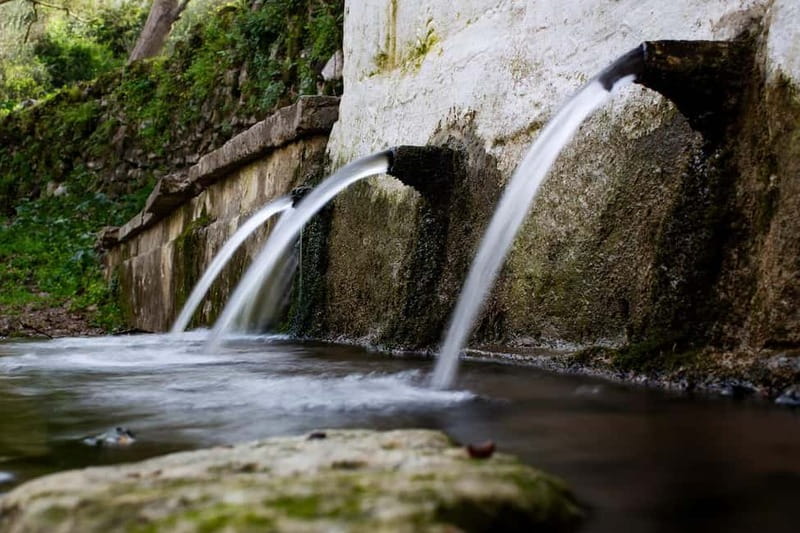Off-Road: Waterfall, Lake Kournas, Gorges, Preveli Palms - Azilakas Forest Adds the Off-Road Thrill