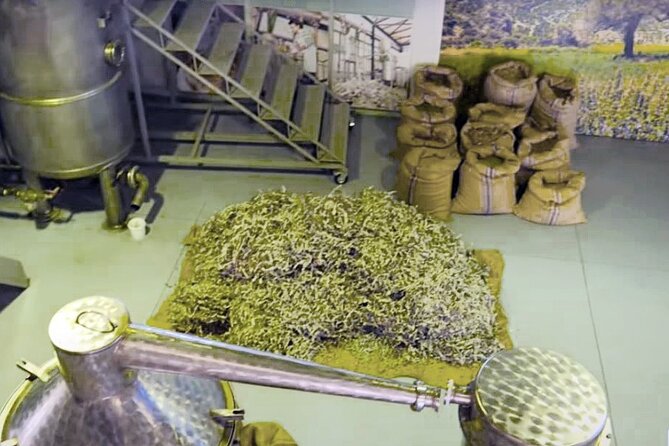 Olive Oil Cosmetic Factory- Spinalonga - Elounda - Agios Nikolaos - Why this Crete day tour is different