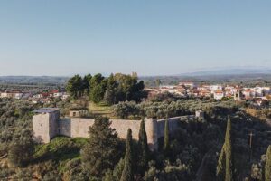 Olive oil Mill Visit & Olive oil tasting Experience - Touring a Modern Olive Oil Mill and Seeing Extra Virgin Production