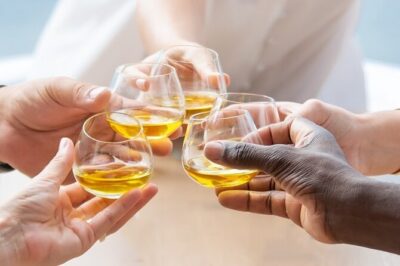 Olive Oil Tasting at the Mykonian Farm - A short Greek olive oil story