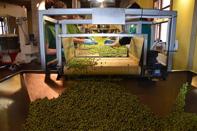 Olive Oil Tasting Tour - Entering Koronekes Olive Mill in the olive-growing area