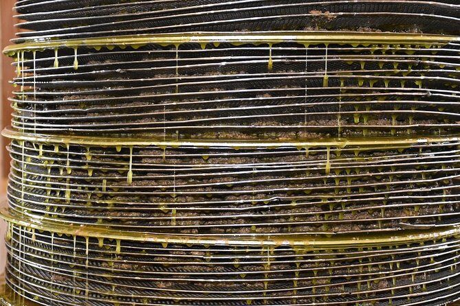 Olive Oil Tasting Tour - How the mill really works: first cold-pressed vs cold extraction