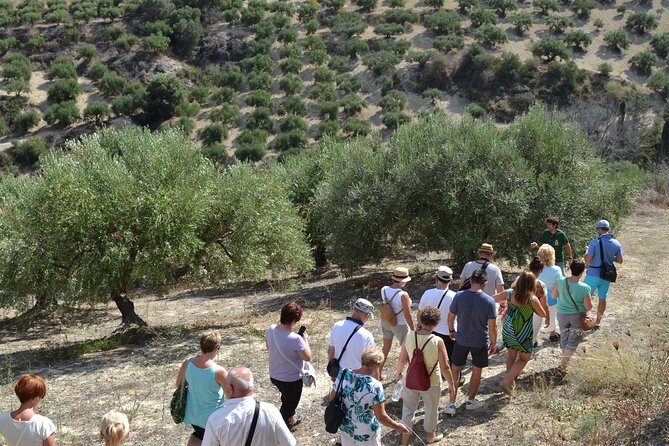 Olive Oil Tasting Tour - Beyond EVOO: flavored oils, sweet vinegar, and petimezi