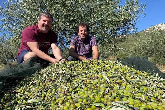 Olive Oil Tour & Tasting with sommelier -Kalentzi, Athens daytrip - Price and Group Size: Is $96.12 Worth It?