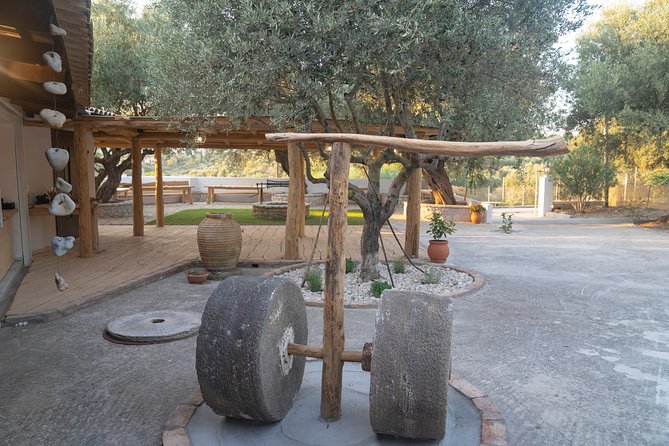 Olive Tour & Tasting - Tasting Olive Oil With Local Food