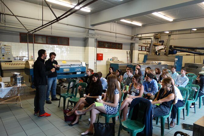 Olive Tour & Tasting - Why an olive mill tour in the Peloponnese makes sense