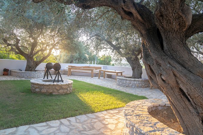 Olive Tour & Tasting - Timing, Weather, and Access