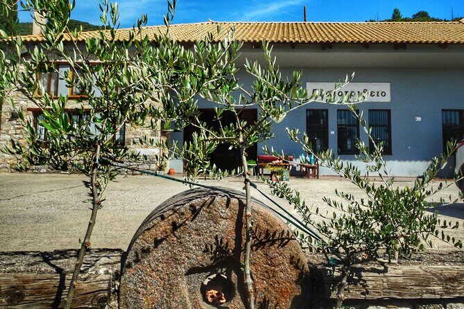 Olive Tour & Tasting - Timing and logistics that help you plan your day