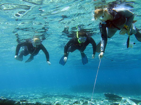 Olous – Guided Snorkelling Excursion to Discover Olous Sunken Ancient City - Key points I’d put at the top