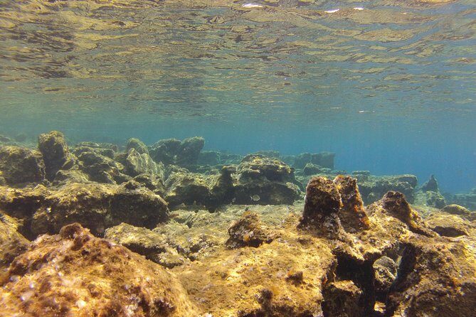Olous – Guided Snorkelling Excursion to Discover Olous Sunken Ancient City - What You’ll See at 50–80 cm and How to Read Ruins
