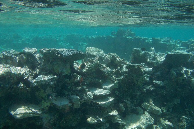 Olous – Guided Snorkelling Excursion to Discover Olous Sunken Ancient City - Small-Group Snorkelling Over a Minoan City