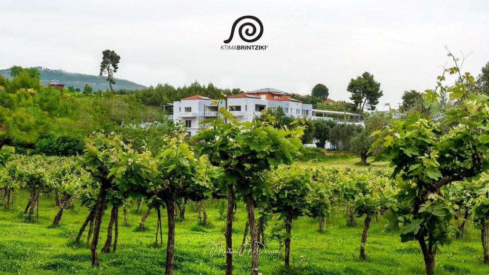 Olympia's Ancient Secrets & Wine Tasting Experience - Key points to know before booking