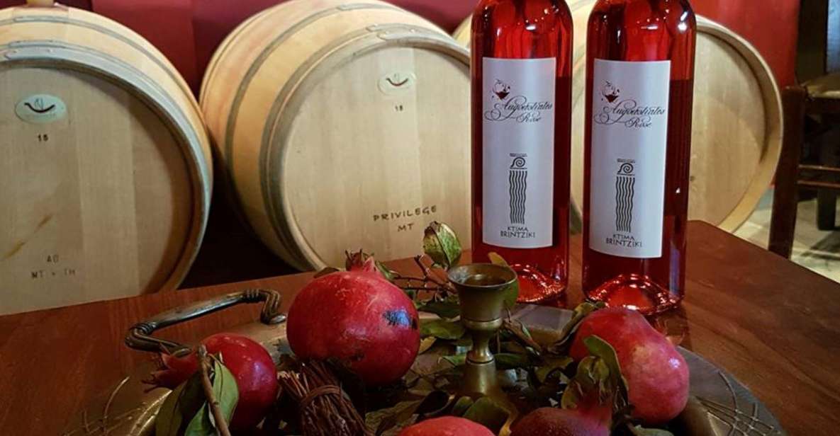 Olympia's Ancient Secrets & Wine Tasting Experience - What the $182 price really covers