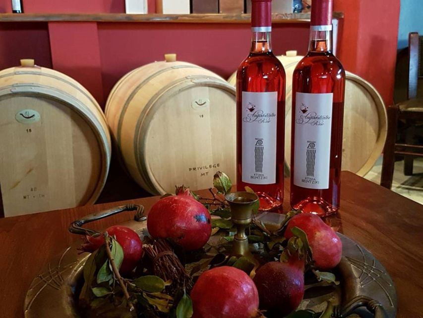 Olympia's Ancient Secrets & Wine Tasting Experience - Who will enjoy this five-hour outing