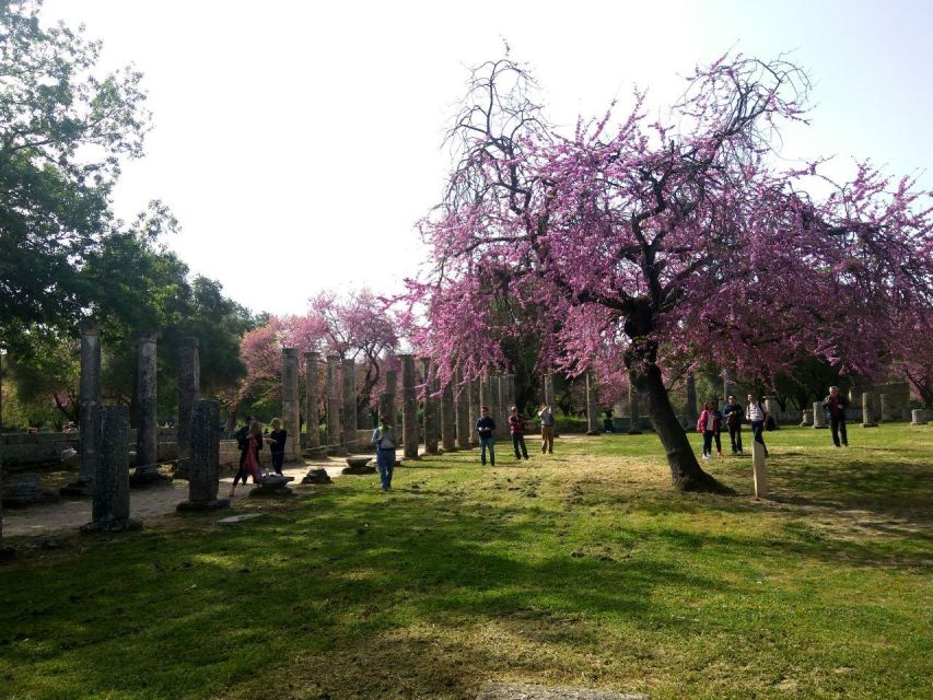 Olympic site all-inclusive private tour with a local expert - The gymnasiums and training grounds