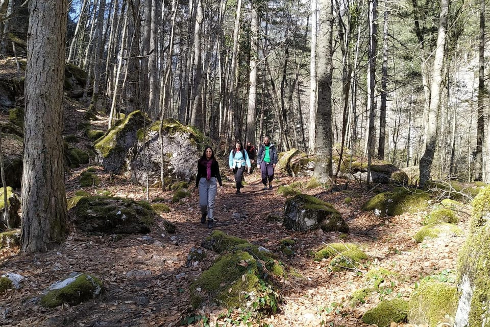 Olympus Highlights Hike - Christina’s local connection matters