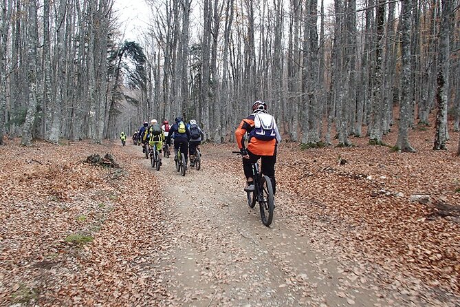 Olympus Mountain Biking - Rides tailored to you - The value of a $129.56 half-day outing