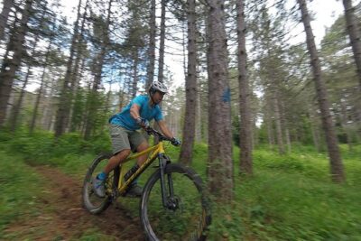 Olympus Mountain Biking - Rides tailored to you - What the forest route means for your riding day