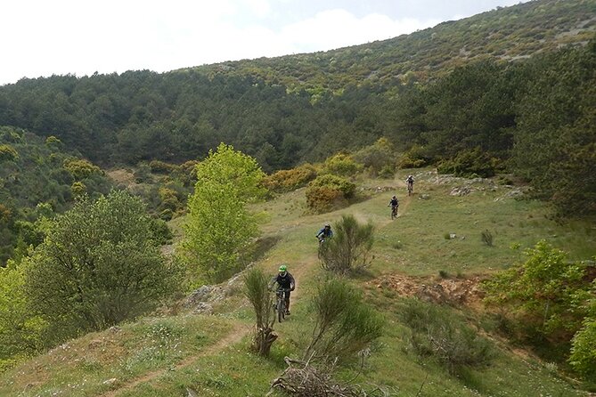 Olympus Mountain Biking - Rides tailored to you - A guide-led ride rather than a fixed challenge